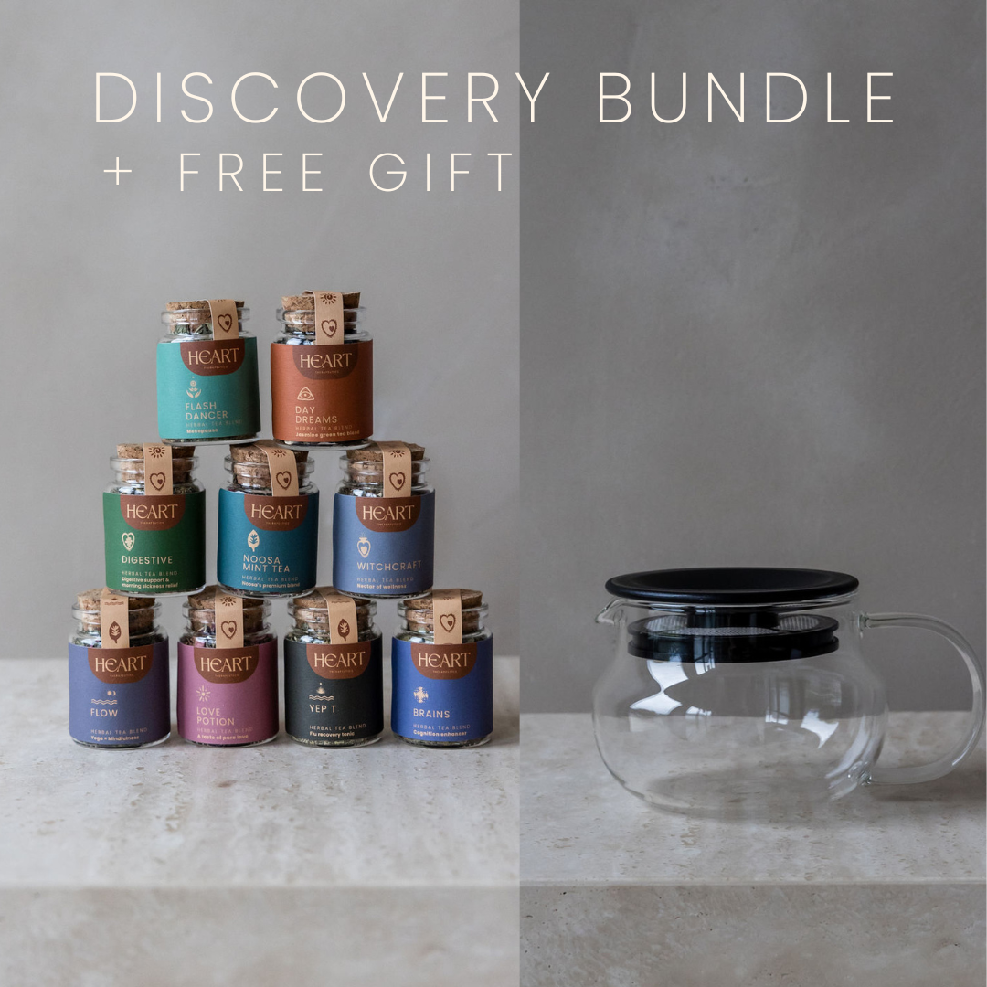 DISCOVERY BUNDLE